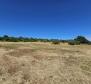 Land plot in Pomer, Medulin,150m from the sea - pic 5