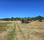 Land plot in Pomer, Medulin,150m from the sea - pic 6