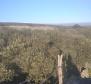 Residential construction land plot 700 meters from the sea, with sea views on Krk island - pic 4