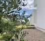 Villa medencével Krk szigetén, 500 méterre a tengertől - pic 15