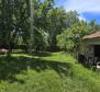 Great investment property in Svetveincenat - stone house with a spacious garden - pic 11