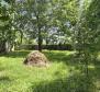 Great investment property in Svetveincenat - stone house with a spacious garden - pic 22