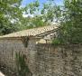 Great investment property in Svetveincenat - stone house with a spacious garden - pic 28