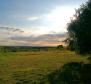 Building plot in Buje area on the edge of the construction zone, panoramic view  - pic 2