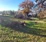 Land plot Valica, Umag, agro + urban parts in combination - pic 7