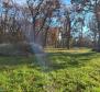 Land plot Valica, Umag, agro + urban parts in combination - pic 9