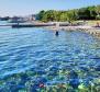 Guest-house in Petrcane outskirts, 60m from the sea - pic 45