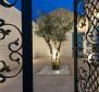 Rustic style villa in Zadar area,150m from the sea with tennis terrain! - pic 22