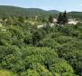Stavební pozemek 9000 m2 v oblasti Rupa (Matulji), se stavebním povolením na halu a komerční rezidenční budovu - pic 25