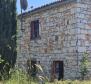 Land complex of 138 800 sq.m. in Rovinj area with impressive antiquity, 5 km from the sea - pic 4