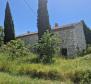 Land complex of 138 800 sq.m. in Rovinj area with impressive antiquity, 5 km from the sea - pic 5
