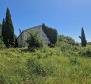 Land complex of 138 800 sq.m. in Rovinj area with impressive antiquity, 5 km from the sea - pic 7