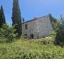 Land complex of 138 800 sq.m. in Rovinj area with impressive antiquity, 5 km from the sea - pic 8