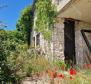 Land complex of 138 800 sq.m. in Rovinj area with impressive antiquity, 5 km from the sea - pic 13