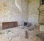Land complex of 138 800 sq.m. in Rovinj area with impressive antiquity, 5 km from the sea - pic 15