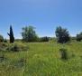 Land complex of 138 800 sq.m. in Rovinj area with impressive antiquity, 5 km from the sea - pic 22