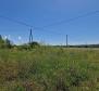 Land complex of 138 800 sq.m. in Rovinj area with impressive antiquity, 5 km from the sea - pic 25