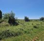Land complex of 138 800 sq.m. in Rovinj area with impressive antiquity, 5 km from the sea - pic 31
