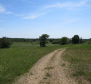 Land complex of 138 800 sq.m. in Rovinj area with impressive antiquity, 5 km from the sea - pic 33