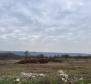 Land in Brtonigla, over 5 hectares - pic 8