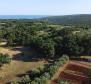Fantastic estate in Peruški, Marčana, for sale - pic 13