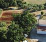 Fantastic estate in Peruški, Marčana, for sale - pic 17