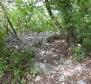 Terrain à Kukuljanovo, Bakar, dans la banlieue de Rijeka - pic 33