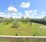 Urbanized land in Poreč,for sale - pic 2