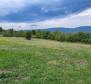 Terrain constructible + agricole à Motovun, à vendre - pic 4