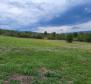 Terrain constructible + agricole à Motovun, à vendre - pic 5