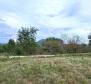 Terrain constructible + agricole à Motovun, à vendre - pic 7