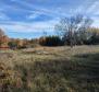 Spacious land of cca.1 hectare in Marcana area, for sale - pic 2