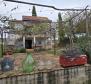 Two houses in Oprtalj,for sale - pic 2