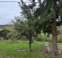 Two houses in Oprtalj,for sale - pic 42