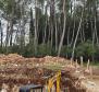 Appartement dans un immeuble neuf avec jardin à quelques pas de la plage de Rovinj - pic 6