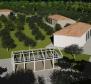 Magnifique domaine sur 14000 m² de terrain à Barban, à vendre ! - pic 4