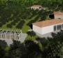 Magnifique domaine sur 14000 m² de terrain à Barban, à vendre ! - pic 6