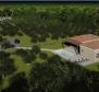 Magnifique domaine sur 14000 m² de terrain à Barban, à vendre ! - pic 14