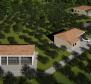 Magnifique domaine sur 14000 m² de terrain à Barban, à vendre ! - pic 17