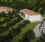 Magnifique domaine sur 14000 m² de terrain à Barban, à vendre ! - pic 24