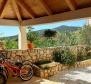 House with three apartments in a quiet part of the island Mali Losinj, 500m from the sea, for sale - pic 7