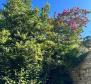 House for complete renovation, 1st line to the sea, Mali Losinj, for sale - pic 4