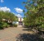 House with swimming pool and jacuzzi on Krk, for sale - pic 6
