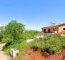 House under construction in Motovun, for sale - pic 2