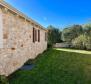 Reduziert! Außergewöhnliche Villa in Buje mit Panoramablick, zu verkaufen - foto 26
