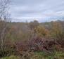 Stone house in Barban and land complex of almost 2 hectares, for sale - pic 25