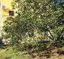House in Novo Naselje, Porec, for sale - pic 6