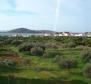 Mini-hôtel à Tribunj avec vue magnifique sur la mer, 5 appartements - pic 2