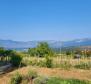 Estate in Pićan, for sale - pic 26