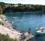 Csodálatos félreeső telek Brac szigetén az ELSŐ VONALON egy csendes öbölben, Dalmáciában, Horvátországban. - pic 3
